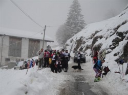 Ski Stuls: Abfahrt 201...