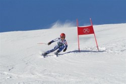 Ski...