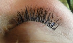 Wimpernverlängerung mi...